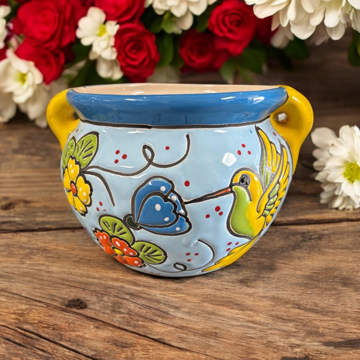 Hummingbird Hand Painted S Planter Pot with Handles