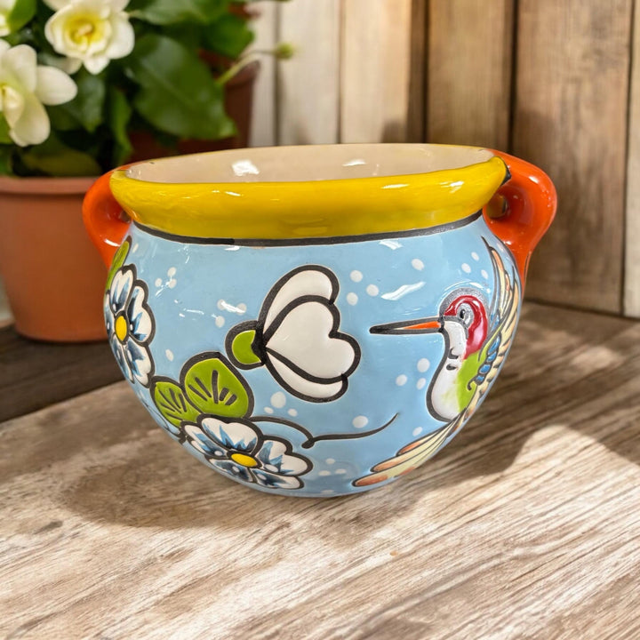 Hummingbird Hand Painted S Planter Pot with Handles