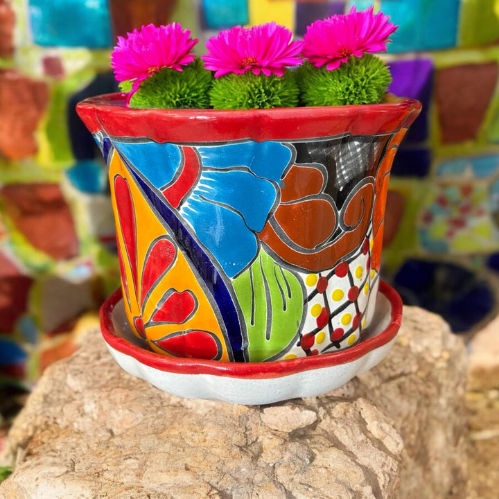 Wavy Hand Painted Colorful Planter Pot with Saucer Plate