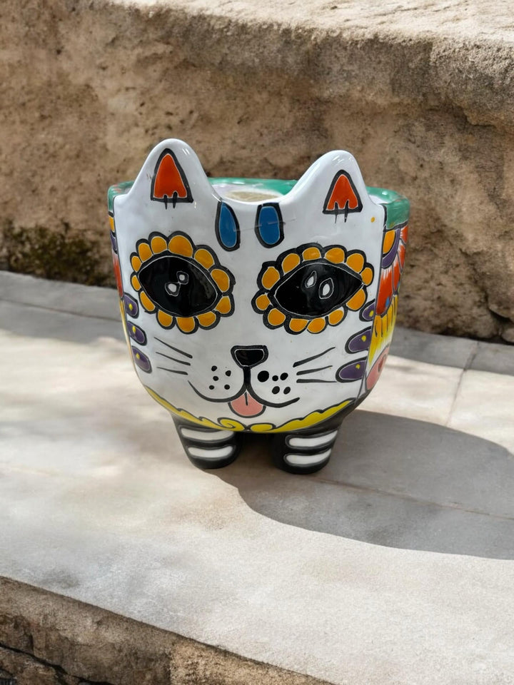 Cute Hand Painted Cat Skull Planter Pot