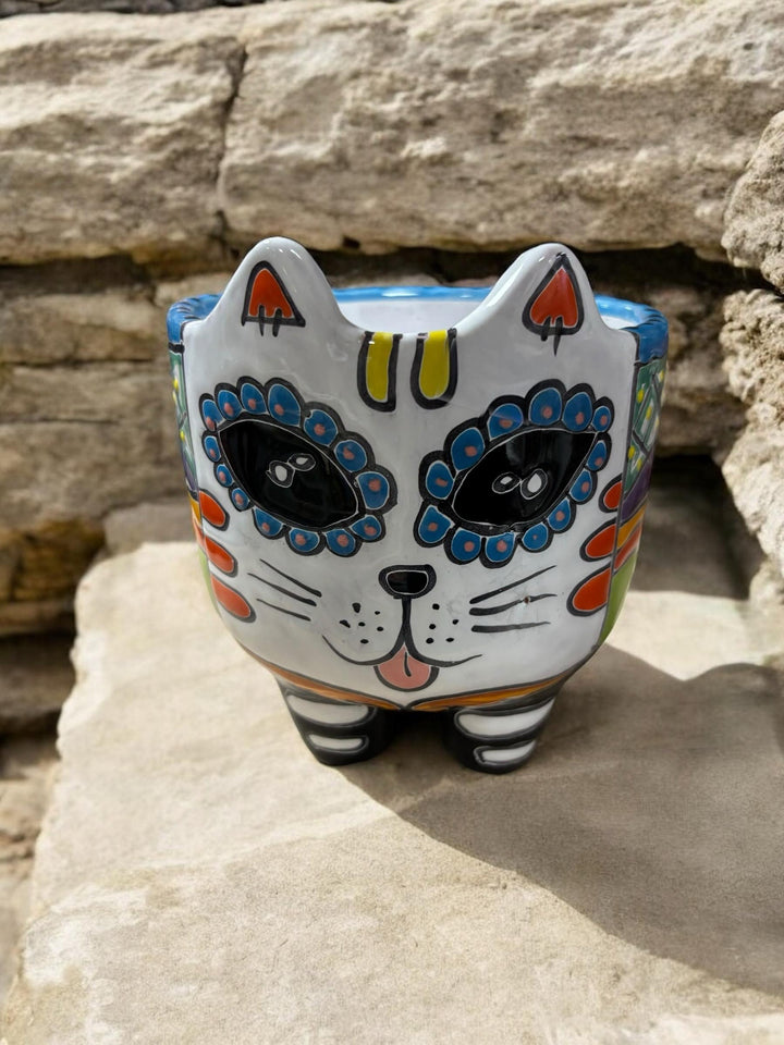 Cute Hand Painted Cat Skull Planter Pot