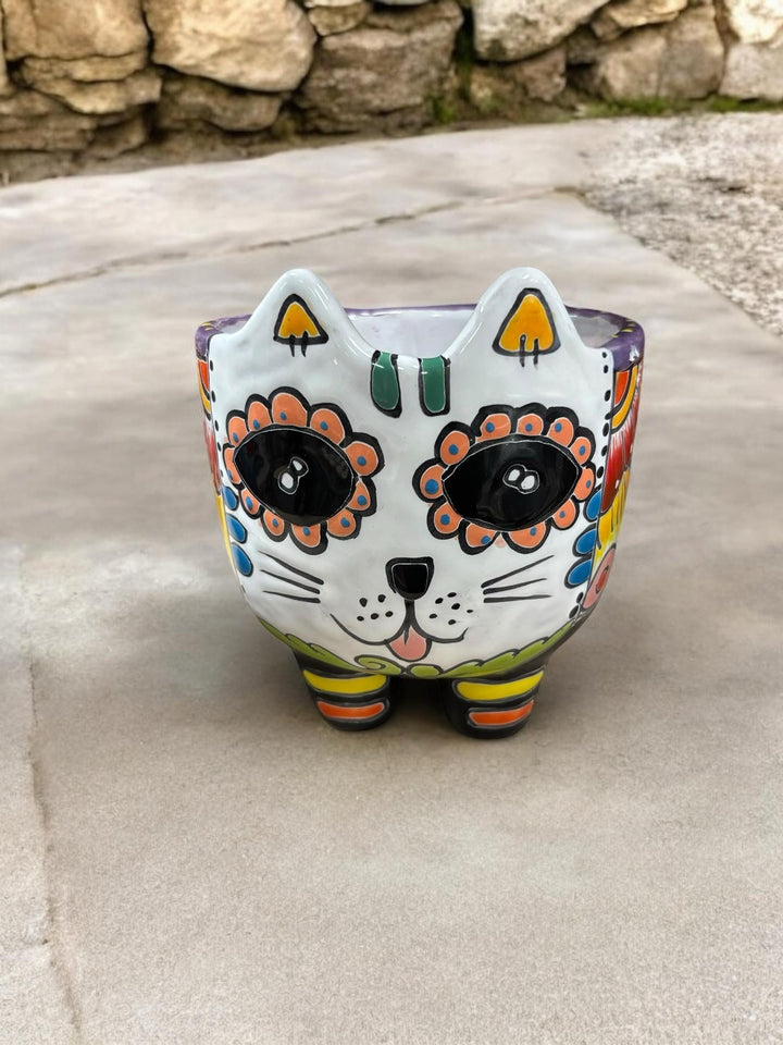 Cute Hand Painted Cat Skull Planter Pot