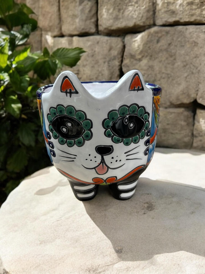 Cute Hand Painted Cat Skull Planter Pot