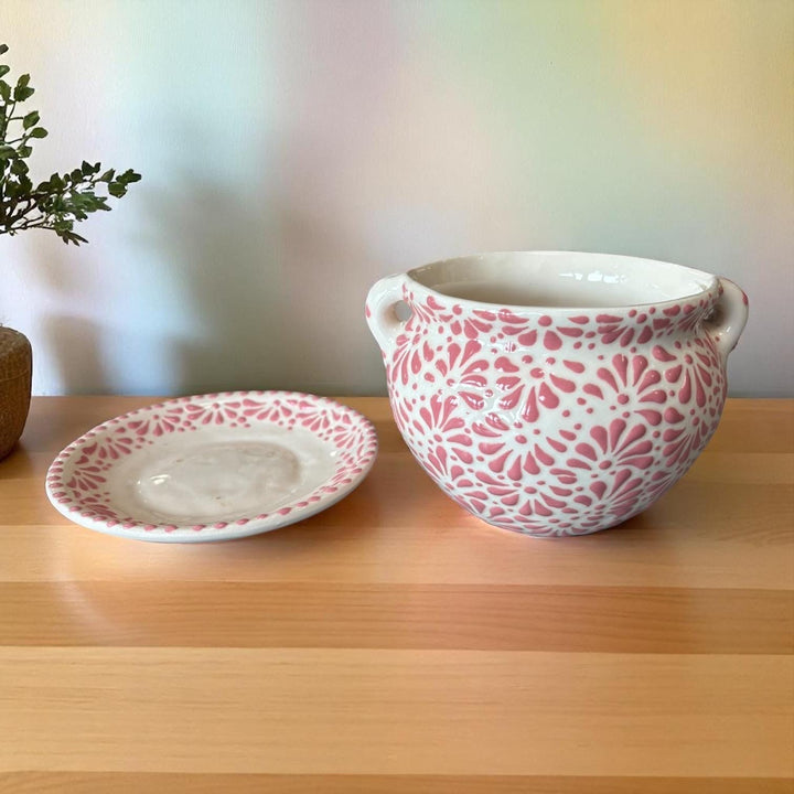 Dainty White and Pink Hand Painted Planter Pot with Handles & Saucer