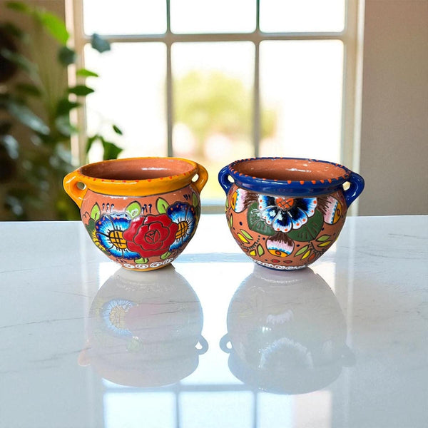 Hand Painted Mexican Talavera Rustic Flower Pot with Handles — Assorted Designs in Tabletop Medium